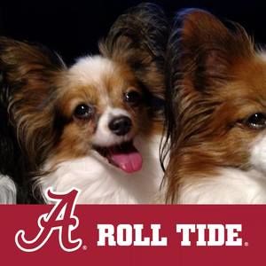 Meet your Posher, Barbara